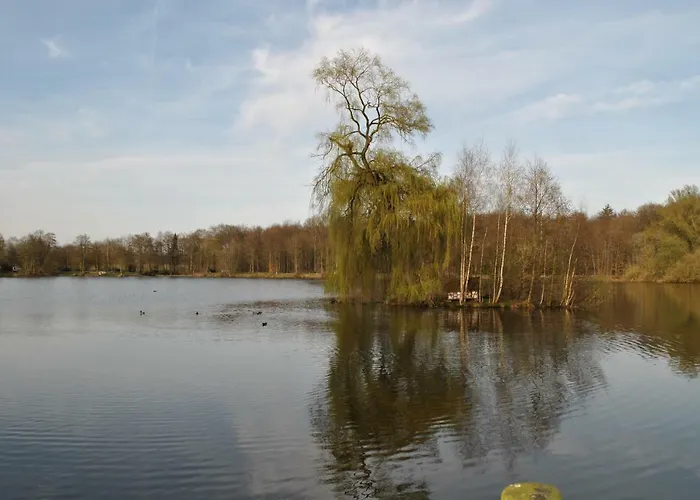 Apartamento Am Mariental 11 *